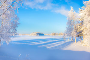 Vinterlandskap med mye hvit snø og frostrim på trærne